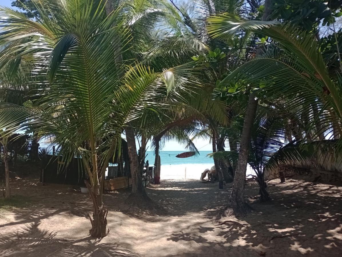 Porto De Galinhas Lindo Ap 2 Q 2 Banh 40 M Da Praia Apartment Bagian luar foto